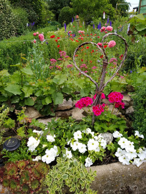 Gartenpflege Pflanzen Naturgarten Baumpflege Stauden Würzburg