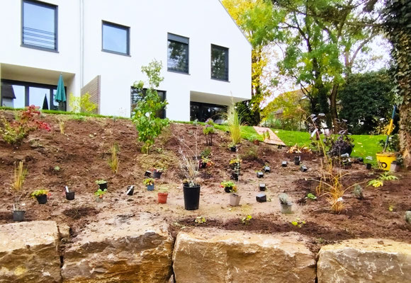 Gartenpflege Pflanzen Naturgarten Baumpflege Stauden Würzburg