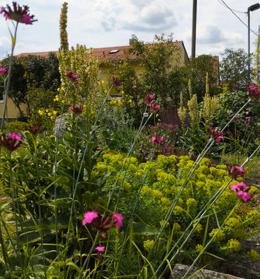 Gartenpflege Pflanzen Naturgarten Baumpflege Stauden Würzburg