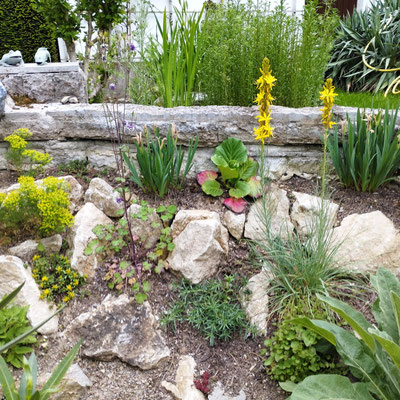 Gartenpflege Pflanzen Naturgarten Baumpflege Stauden Würzburg