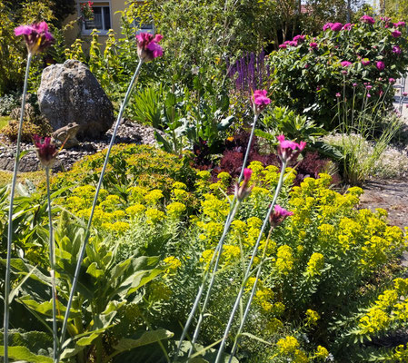Gartenpflege Pflanzen Naturgarten Baumpflege Stauden Würzburg