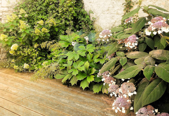 Gartenpflege Pflanzen Naturgarten Baumpflege Stauden Würzburg