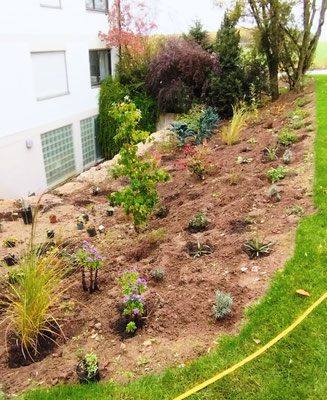 Gartenpflege Pflanzen Naturgarten Baumpflege Stauden Würzburg