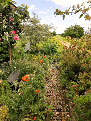 Gartenpflege Pflanzen Naturgarten Baumpflege Stauden Würzburg
