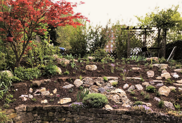 Gartenpflege Pflanzen Naturgarten Baumpflege Stauden Würzburg