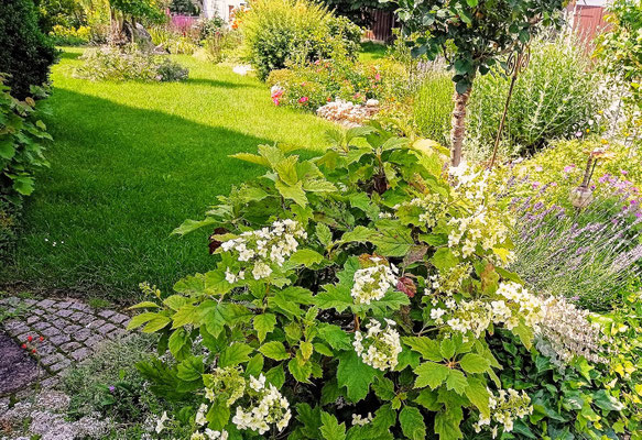 Gartenpflege Pflanzen Naturgarten Baumpflege Stauden Würzburg