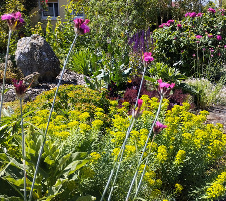 Gartenpflege Pflanzen Naturgarten Baumpflege Stauden Würzburg