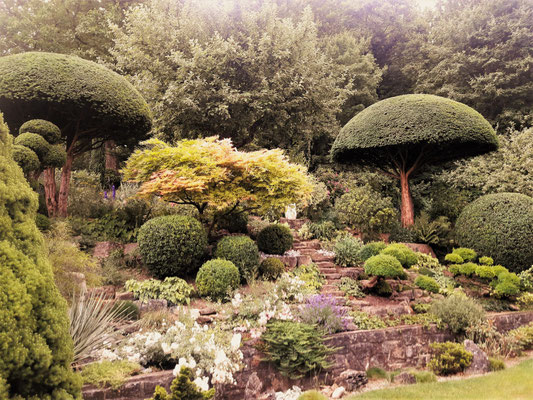Gartenpflege Pflanzen Naturgarten Baumpflege Stauden Würzburg