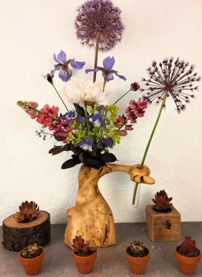 WildholzVase Mahonie mit Hauswurz