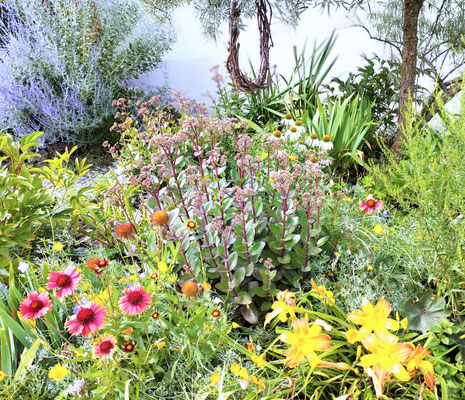 Gartenpflege Pflanzen Naturgarten Baumpflege Stauden Würzburg