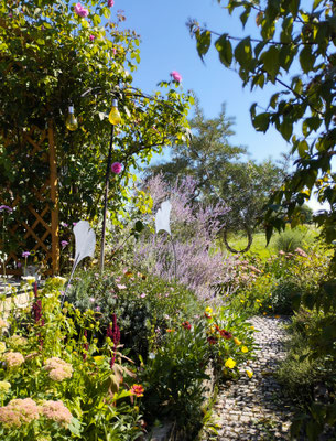 Gartenpflege Pflanzen Naturgarten Baumpflege Stauden Würzburg