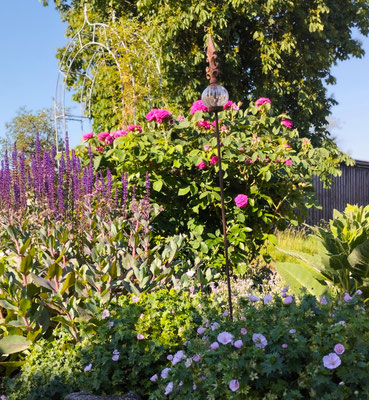 Gartenpflege Pflanzen Naturgarten Baumpflege Stauden Würzburg