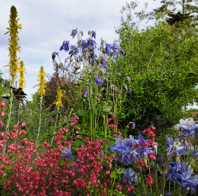 Gartenpflege Pflanzen Naturgarten Baumpflege Stauden Würzburg