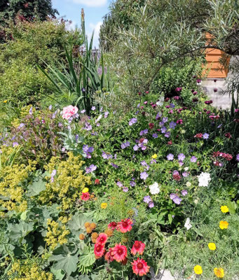 Gartenpflege Pflanzen Naturgarten Baumpflege Stauden Würzburg