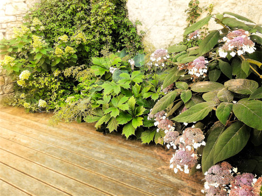 Gartenpflege Pflanzen Naturgarten Baumpflege Stauden Würzburg