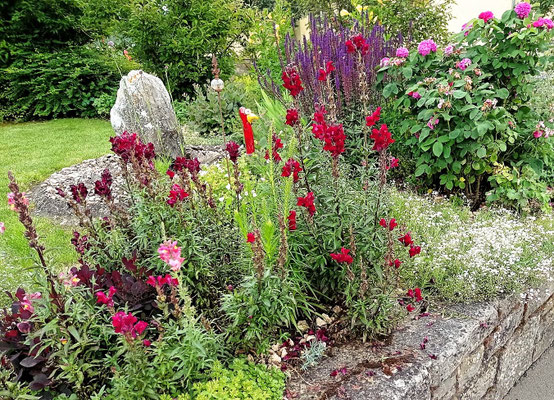Gartenpflege Pflanzen Naturgarten Baumpflege Stauden Würzburg