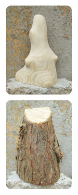 Gestaltung Vase Scheinzypresse