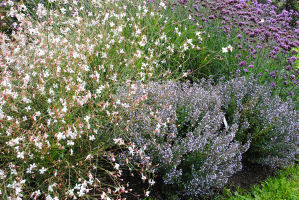 Gartenpflege Pflanzen Naturgarten Baumpflege Stauden Würzburg
