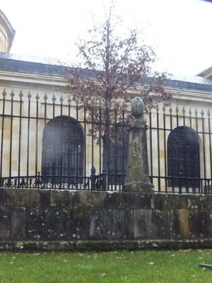 L'Arbre de Gernika (4ème génération)