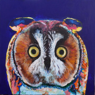 "Sumpfohreule", Acryl auf Leinwand, 80 x 80, 2025 Künstler: Christian Gloystein 