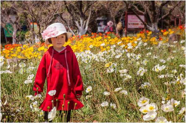 Kunming (昆明), le 22 mars 2019.  Parc de l’étang du dragon noir (黑龙潭园).