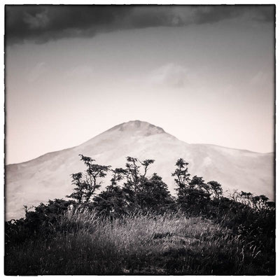 Col du Soulor - 23 juin 2019