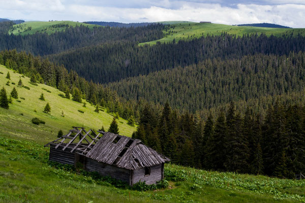 Die ukrainischen und teilweise auch die südlich angrenzenden rumänischen Karpaten zählen zu den ursprünglichsten und wildesten Regionen in Europa.