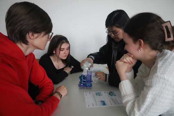 Joshua, Diana, Julia und Leonie experimentieren zur Elektrolyse.