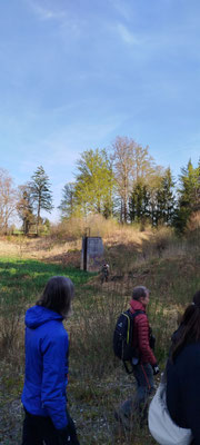 Mönch am Langen Weiher