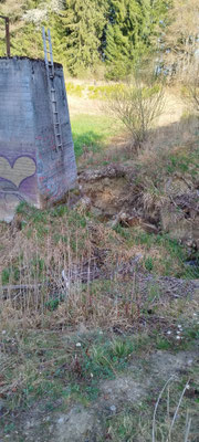Ablauf des Mönch