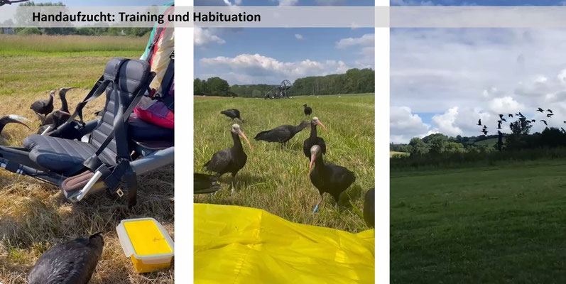 Kennenlernen des Fluggerätes