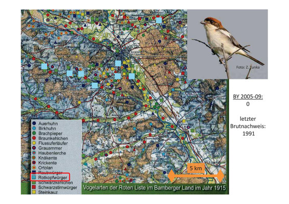Verbreitung des Rotkopfwürgers rund um Bamberg Anfang des 20. Jahrhunderts (Quelle: Potrykus Vogelschutz 3/13)