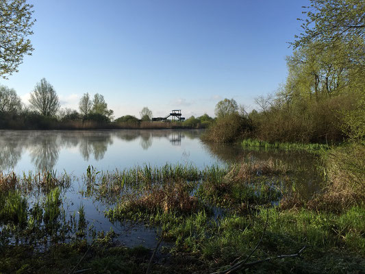 Vogelöinsel am Altmühlsee