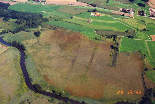 LBV-Grundstück : Teilfläche „links“ (nördlich) des „Langen Weihers“ (Foto: Dr. M. Reinhard)