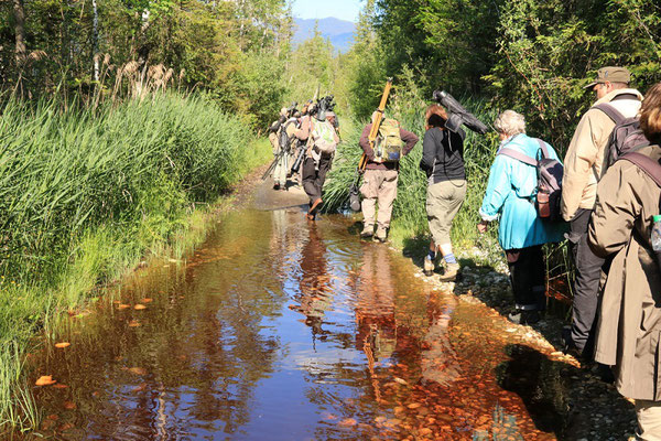 Auf dem Weg zum Langen Köchel (Foto: Miriam Hansbauer)