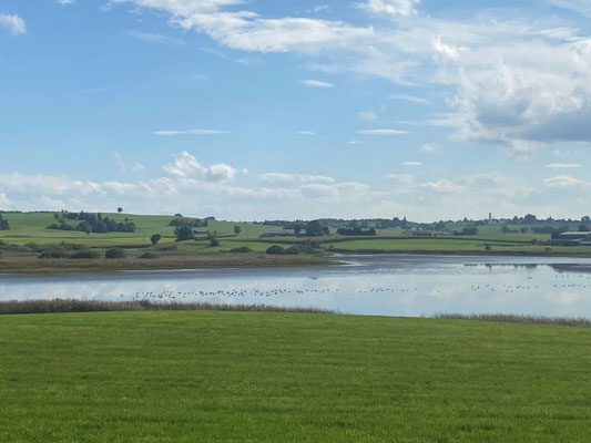 Rohrsee (Foto: Jessica Fischer)