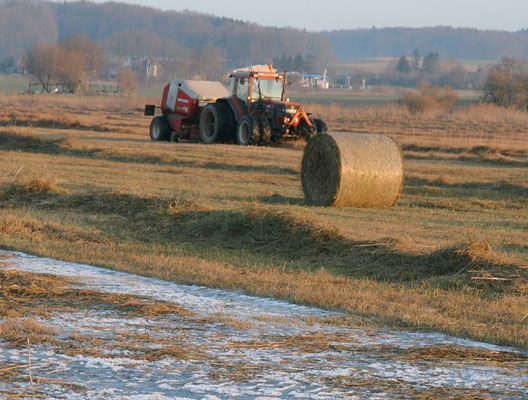 Landschaftspflegearbeiten durch Landwirte (Foto: Horst Guckelsberger) 