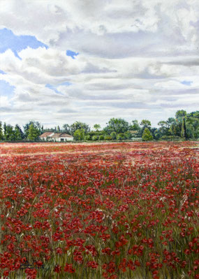 CAMINO DE ALARCOS - Pastel sobre papel Canson (41 x 58) - 31/074/2024 (En venta)