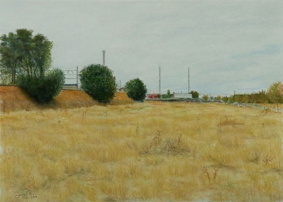PAISAJE JUNTO A LA ESTACION - Pastel sobre papel Canson (55 x 39) - 2017
