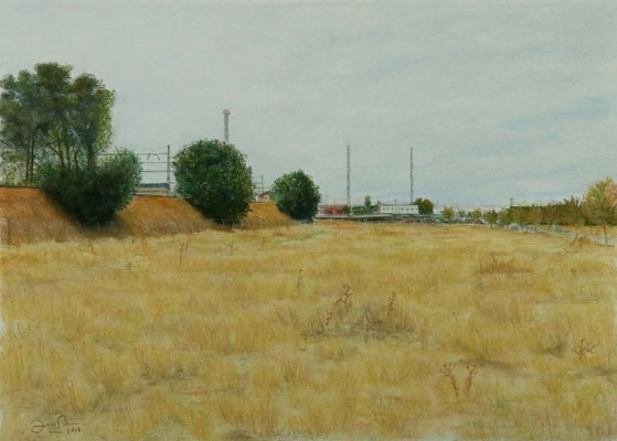 PAISAJE JUNTO A LA ESTACION - Pastel sobre papel Canson (55 x 39) - 2017