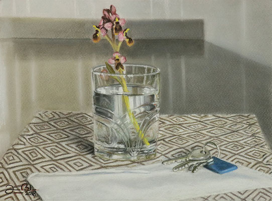 VASO CON ORQUIDEAS - Pastel sobre papel Canson (28,5 x 18,5) - 2018 (En venta)
