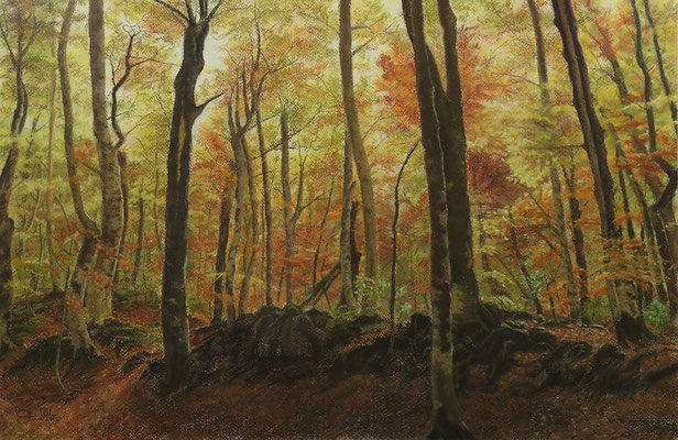 PARQUE DE ORDESA Y MONTE PERDIDO (Huesca) - Pastel sobre papel Canson (60 x 40) - 2016
