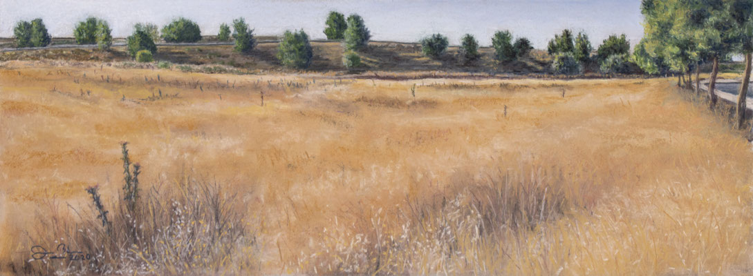 VERANO - Pastel sobre tabla dm (50 x 21) - 08/2020 (En venta)