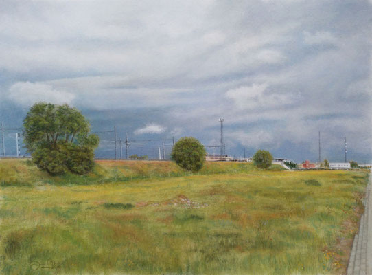 TORMENTA EN PRIMAVERA - Pastel sobre papel Canson (55 x 41) - 2018 (En venta)
