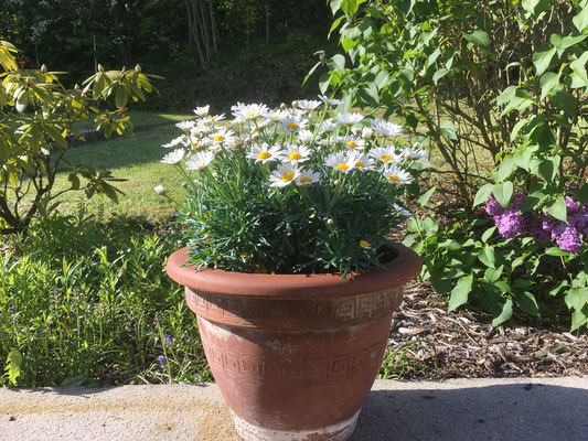 Gartenblicke Apartmenthaus RuheZeit