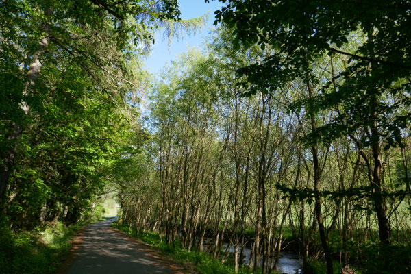 Salzböderadweg 