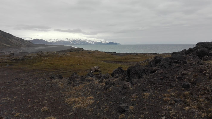 Vulkangestein Landschaft, Jan Mayen (2017)