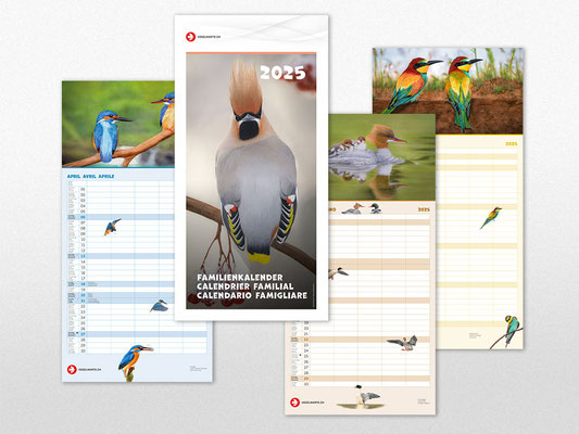 Vogelwarte Familienkalender 2025 mit rund 60 Illustrationen (2024)