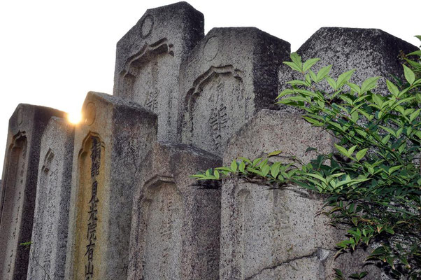 2024年のクリスマスの特別な衣装 氷室家の菩提所・常楽寺 - tsushima-deratera ページ! 和書