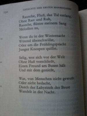 aus Gedichte der ersten Mannesjahre